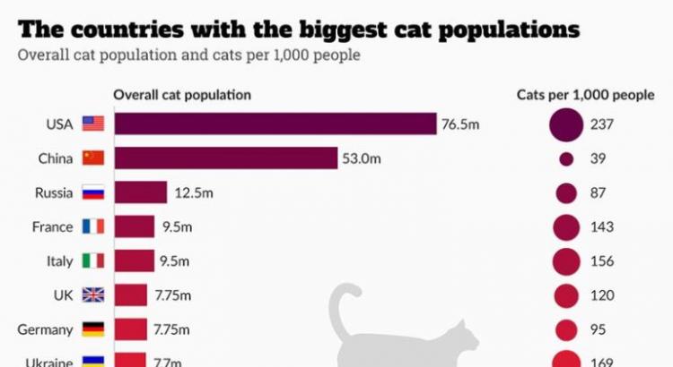 Кошка как священное животное в разных странах Рейтинг стран с самым большим количеством кошек