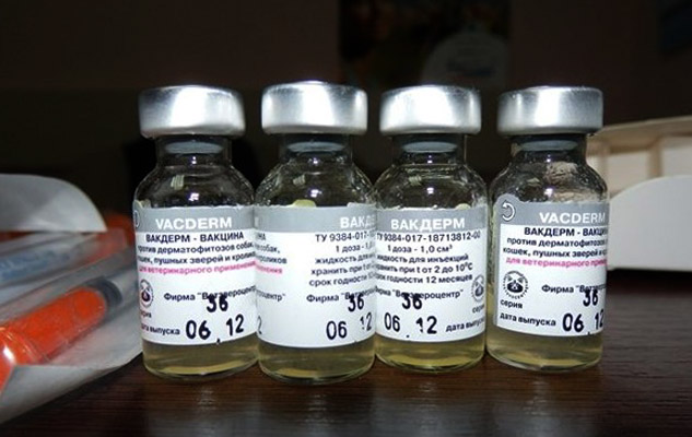 Kediler Icin Vakderm F Kopekler Icin Vakderm Evcil Hayvaninizi Yoksunluktan Korumanin Kolay Bir Yolu