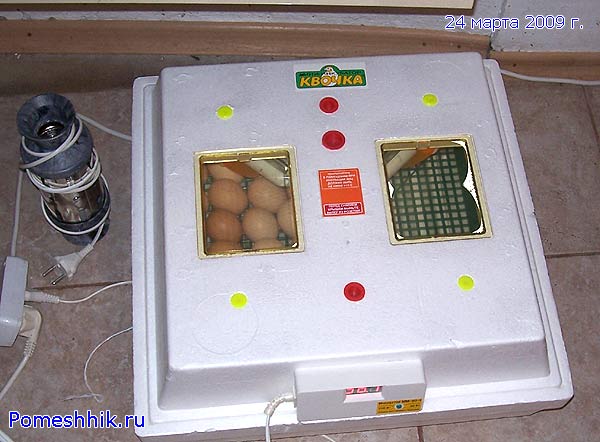 Отключение инкубатора. Мини инкубатор Квочка. Мини Квочка инкубатор с яйцами. Инкубатор наседка на 100 яиц. Мини инкубатор Тари.