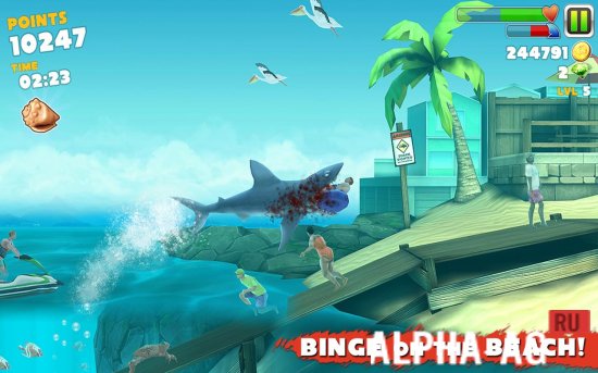 Hungry Hai Evolution Spielen Auf Dem Computer Hungry Shark Hungriger Boser Hai